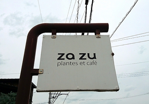 zazu(ザズ プランテ エ カフェ) zazu(ザズ プランテ エ カフェ)
