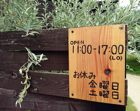 zazu(ザズ プランテ エ カフェ) zazu(ザズ プランテ エ カフェ)