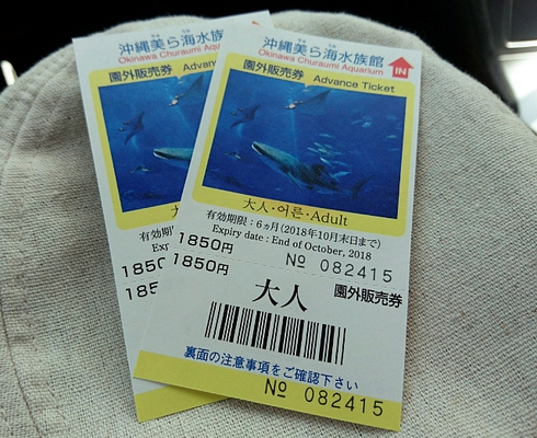 沖縄/美ら海水族館~森のガラス館 沖縄/美ら海水族館~森のガラス館