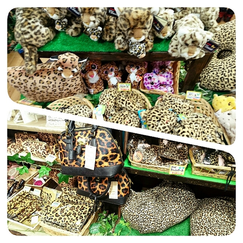倉敷 ・ ヒョウ猫の森~フクロウの森 倉敷 ・ ヒョウ猫の森~フクロウの森