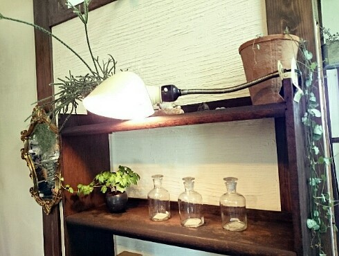 zazu・plantes et cafe zazu・plantes et cafe