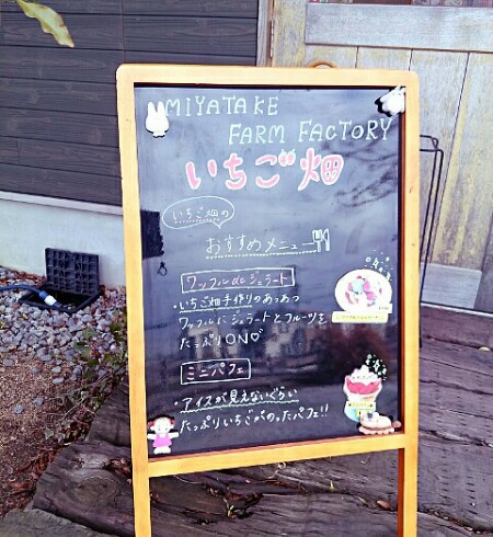 MIYATAKE FARM FACTORY いちご畑 MIYATAKE FARM FACTORY いちご畑