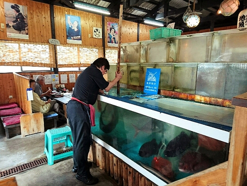 活魚問屋 海寶 活魚問屋 海寶
