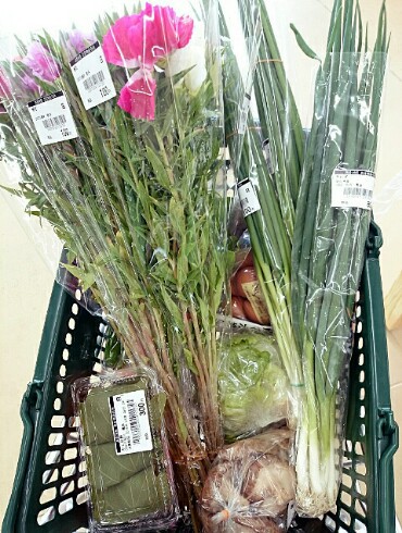 JA空の街 & カリッジュ & 多肉植物 JA空の街 & カリッジュ & 多肉植物