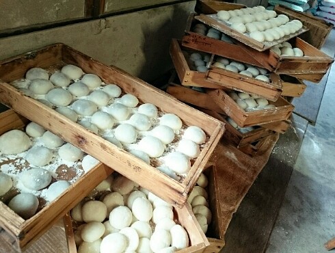 餅つきでしたー! 餅つきでしたー!