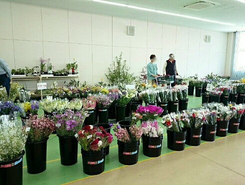 JA空の街 & カリッジュ & 多肉植物 JA空の街 & カリッジュ & 多肉植物