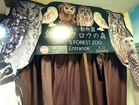 倉敷 ・ ヒョウ猫の森~フクロウの森 倉敷 ・ ヒョウ猫の森~フクロウの森