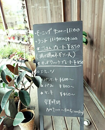 zazu・plantes et cafe zazu・plantes et cafe