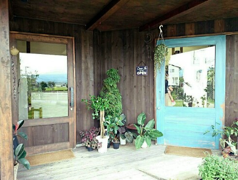 zazu・plantes et cafe zazu・plantes et cafe