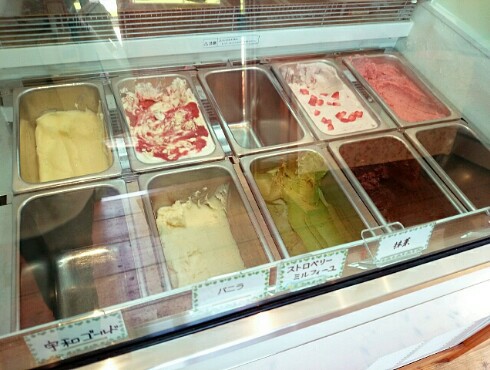 MIYATAKE FARM FACTORY いちご畑 MIYATAKE FARM FACTORY いちご畑