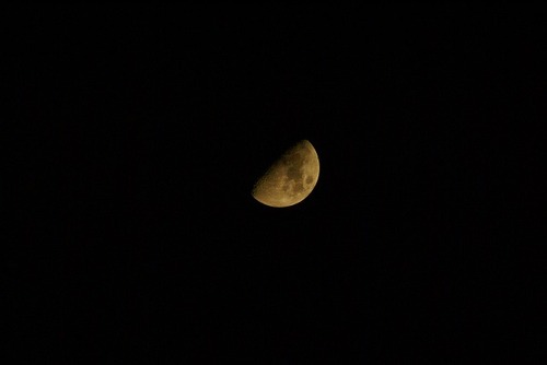 今夜の月(上弦の月)・・