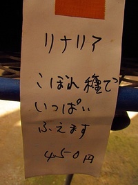 余り見かけない花 リナリア &産直 菜の花