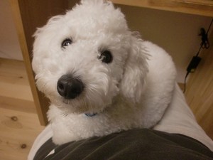 のんびりしましたぁ(*^^)