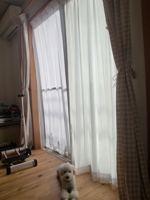 ポカポカお天気だから♪