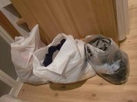 さみしい病?( 一一)