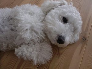 昨日は。。。♪