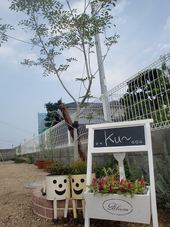 明日OPENです!!!