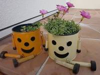 ありがとうございました(*^^)