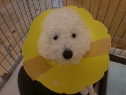 ☆笑顔の輪☆④