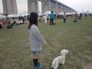ドックショー(^^♪