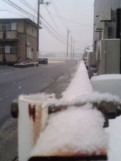 今日は雪のため、Boite cafeもユーピユーピも…