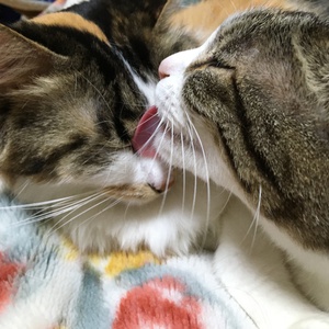 春の夜 春の夜