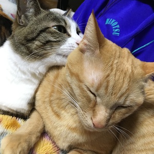 春の夜 春の夜