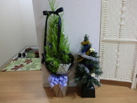 クリスマスツリー☆
