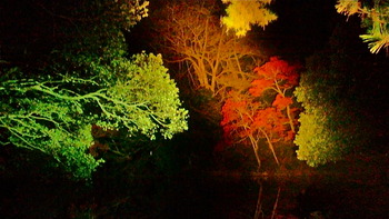 栗林公園のライトアップ。