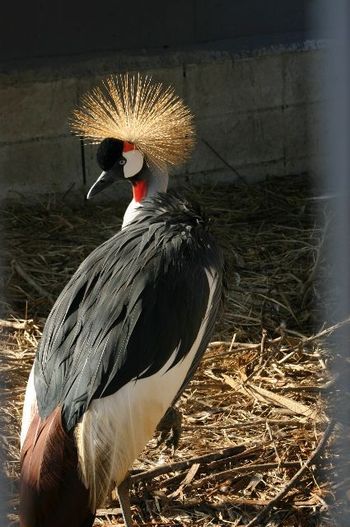 マニアック動物園(笑)