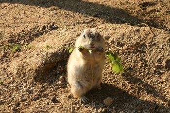 マニアック動物園(笑)