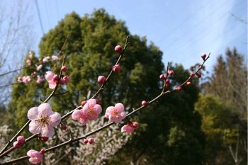 日曜日のみろく公園。。。