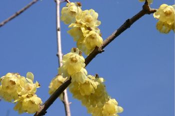日曜日のみろく公園。。。
