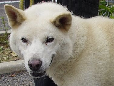 お迎えを待っています。 お迎えを待っています。