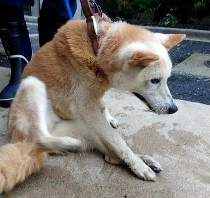 お迎えを待っています。 お迎えを待っています。