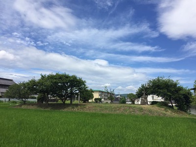 水野 ふたつの城跡の謎にせまります 水野 ふたつの城跡の謎にせまります