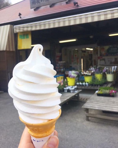 やぶうち しおのえの涼しいスイーツ情報 やぶうち しおのえの涼しいスイーツ情報