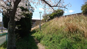 春の喜岡城(古い高松城)跡 春の喜岡城(古い高松城)跡