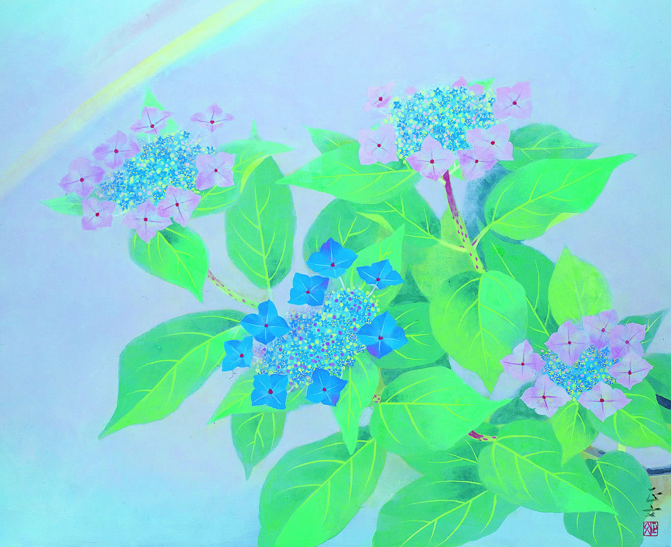 南 正文|紫陽花