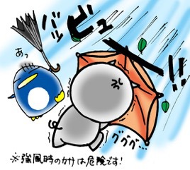 8/29(木) 台風ですが、営業します! 8/29(木) 台風ですが、営業します!
