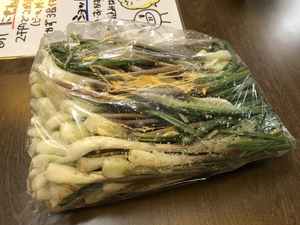 産地直送! 産地直送!