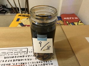 本日 解禁に! 本日 解禁に!