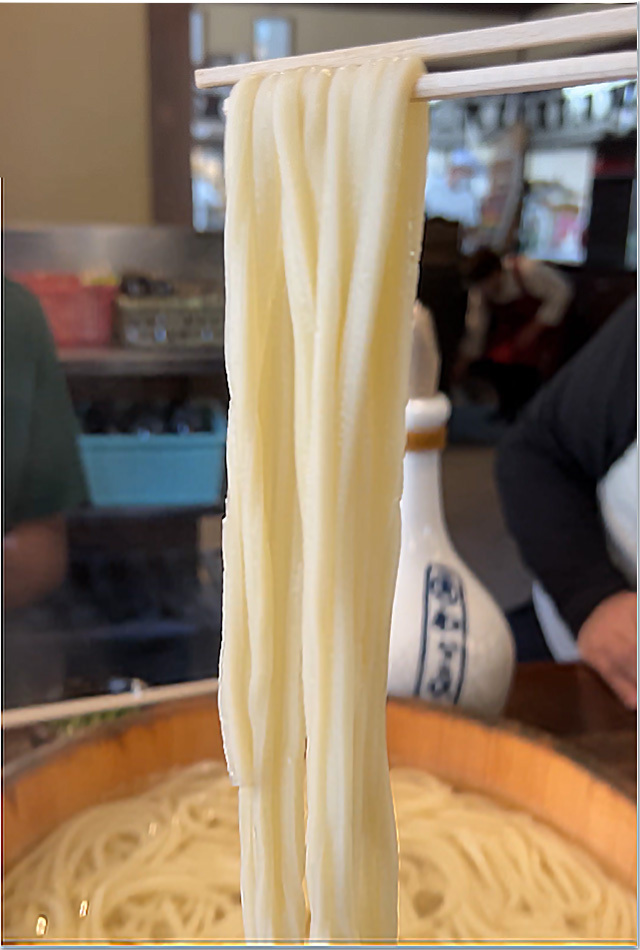 わら家 釜揚げうどん@わら家