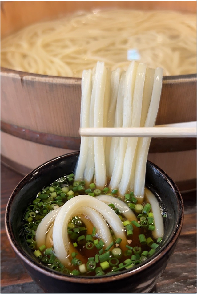 わら家 釜揚げうどん@わら家