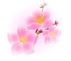 お雛様・・・・・ お雛様・・・・・