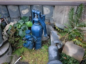 久々の・・・・ 久々の・・・・