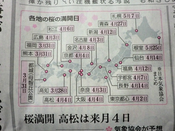 染井よしの・・・・・桜 染井よしの・・・・・桜