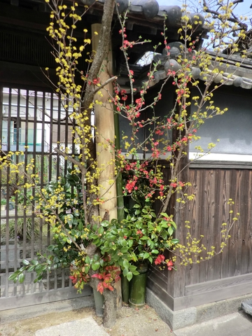 うだつの町並み うだつの町並み