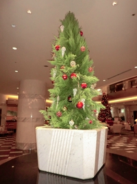 クリスマス クリスマス
