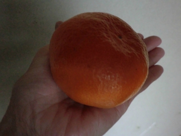 宅配便 宅配便
